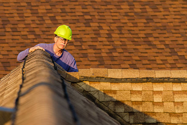 Best Roof Gutter Cleaning  in Ho Ho Kus, NJ